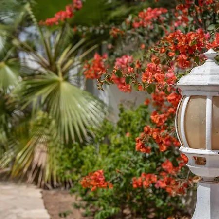 Oceano With Private Heated Pool, Aircon And Seaview Βίλα *